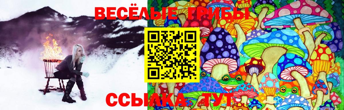 Псилоцибиновые грибы Psilocybe  Вход с VPN  Великий Новгород 